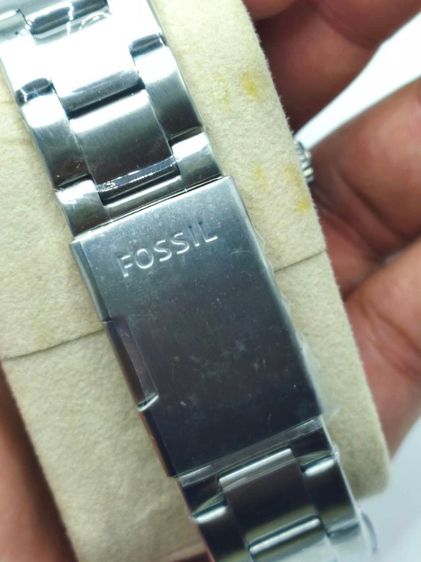 Fossil  รูปที่ 7