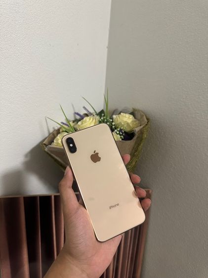 256 GB iPhone XS Max