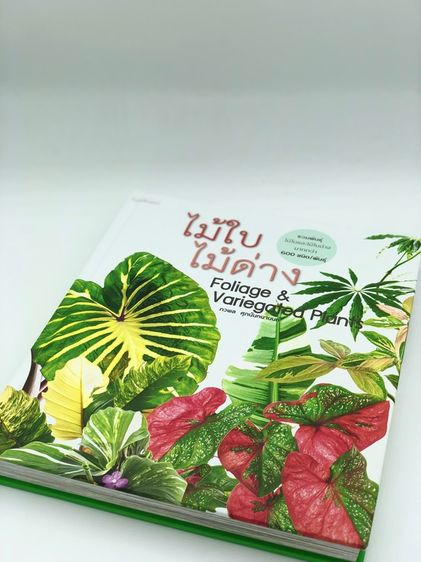 หนังสือไม้ใบไม้ด่าง Foliage and Variegated Plants รูปที่ 3