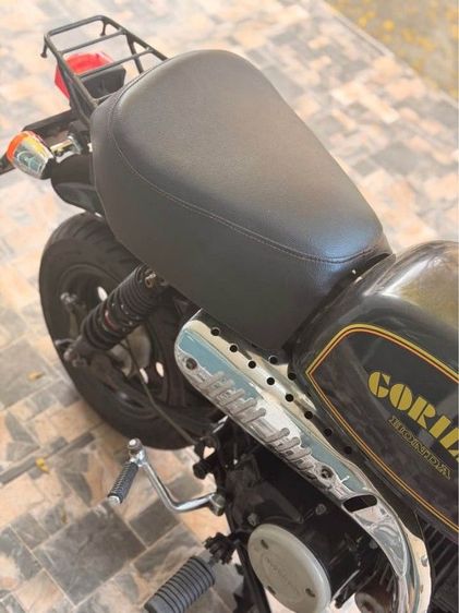 Honda Gorilla z50 Monkey รูปที่ 7