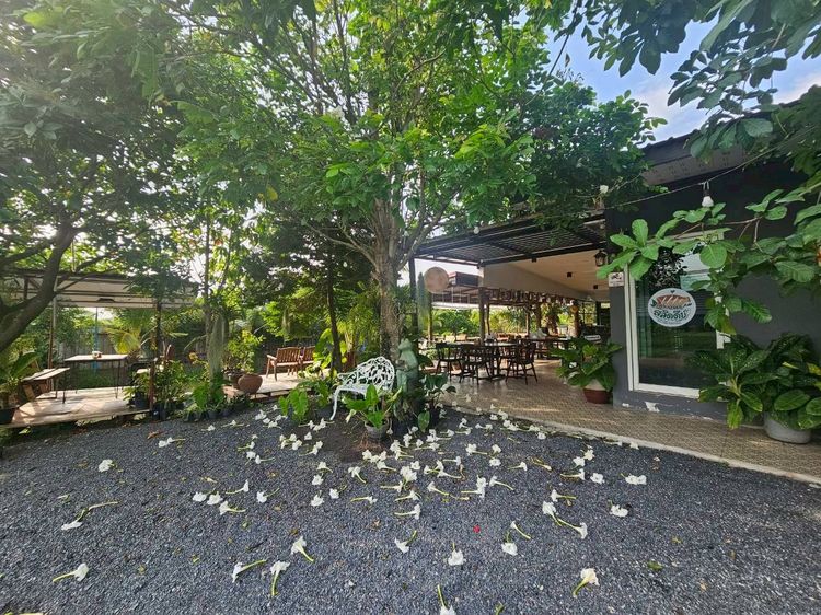 🏡 ขายด่วน ร้านอาหารพร้อมที่ดินริมน้ำ ทำเลพักผ่อน บรรยากาศร่มรื่น เริ่มธุรกิจได้ทันที รูปที่ 2