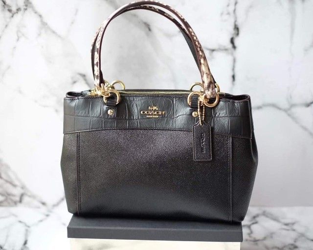 กระเป๋า coach