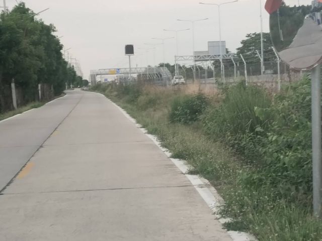ใช่ ที่ดินสามโคก ปทุมธานี