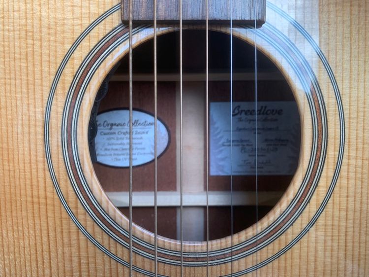 กีต้าร์ Breedlove ทรง Parlour “ALL SOLID” รูปที่ 11