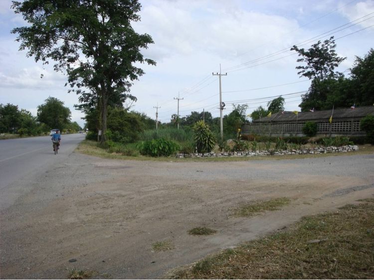 ที่ดิน 100ไร่ ติดถนนใหญ่ รูปที่ 3