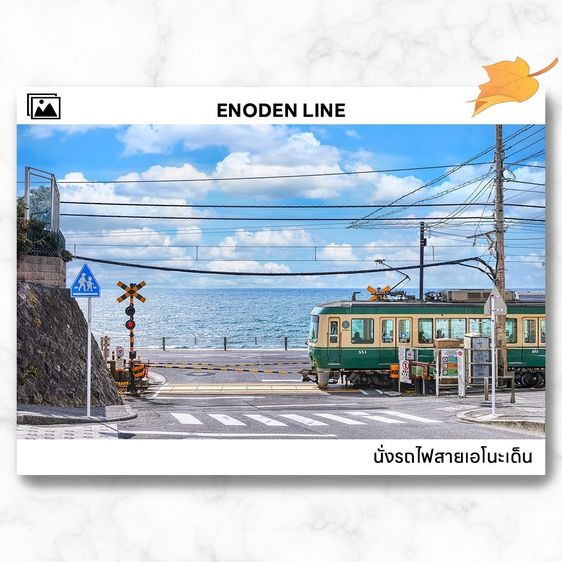 ทัวร์ญี่ปุ่น โตเกียว 5วัน 3คืน รูปที่ 7