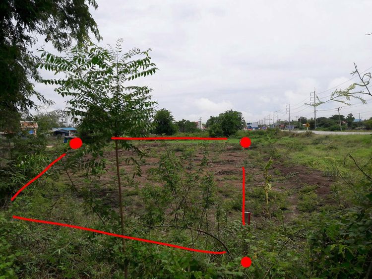 ขายที่ดิน 206 ตรว.ติดถนนใหญ่ อ.เสนา จ.อยุธยา ขาย 2 ล้าน รูปที่ 4