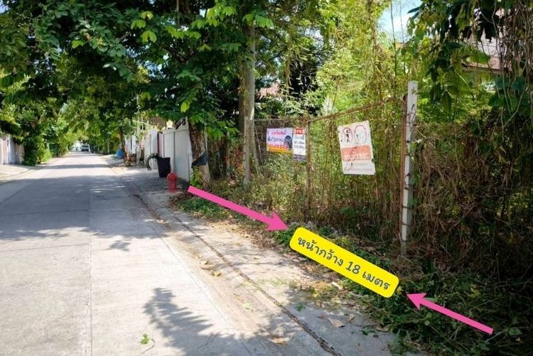 ขายที่ดินบางแวก 214 ตร.ว. สัดส่วนสวย พุทธมณฑลสาย 1 - กาญจนาภิเษก เหมาะสร้างบ้านหรู หรือโฮมออฟฟิศ SME รูปที่ 3