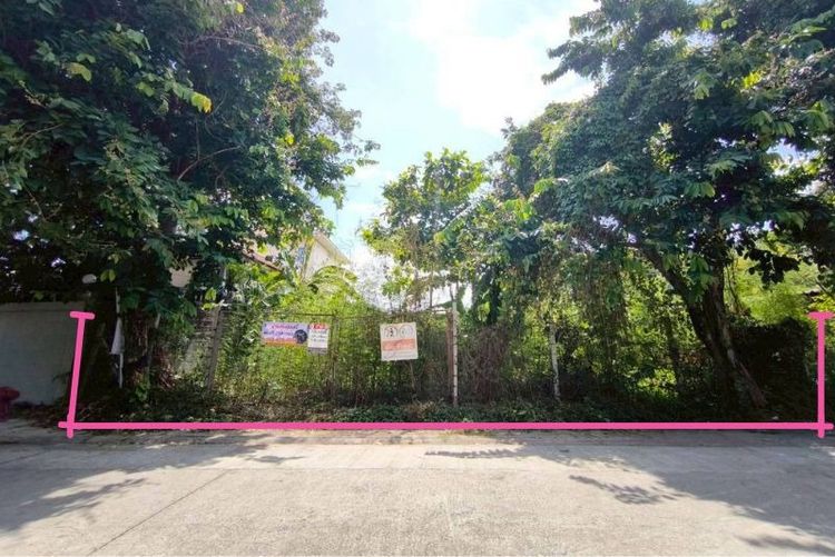 ขายที่ดินบางแวก 214 ตร.ว. สัดส่วนสวย พุทธมณฑลสาย 1 - กาญจนาภิเษก เหมาะสร้างบ้านหรู หรือโฮมออฟฟิศ SME รูปที่ 4