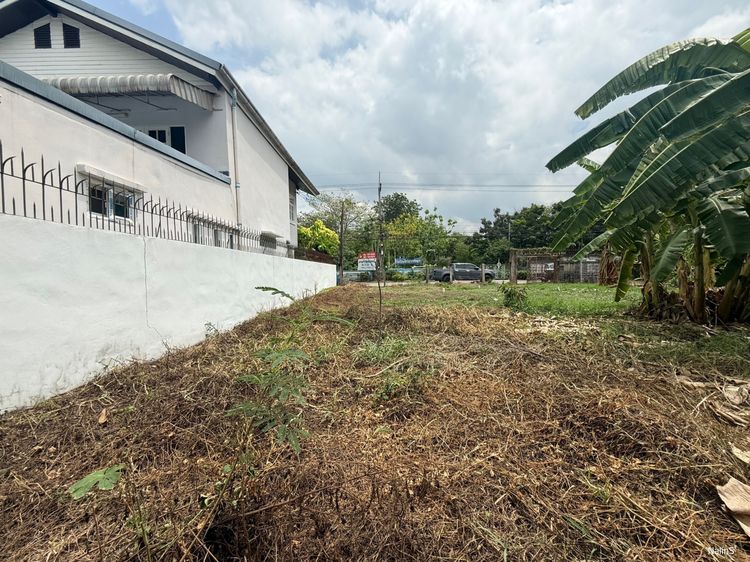 ขายที่ดิน 286 ตร.ว. คูคต–ลำลูกกา ใกล้ รพ.บีแคร์ เหมาะทำโฮมออฟฟิศและธุรกิจ รูปที่ 4