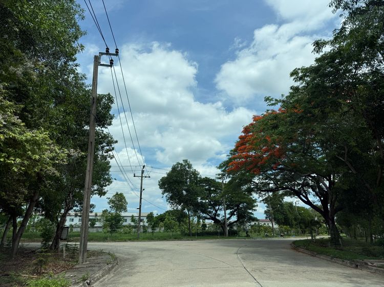 ขายที่ดิน 89 ตร.วา หมู่บ้าน Forest Park คลองสามวา ใกล้ IFB และซาฟารีเวิลด์ รูปที่ 4