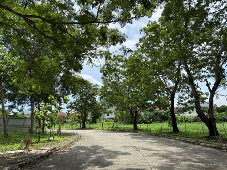 ขายที่ดิน 89 ตร.วา หมู่บ้าน Forest Park คลองสามวา ใกล้ IFB และซาฟารีเวิลด์ รูปที่ 3