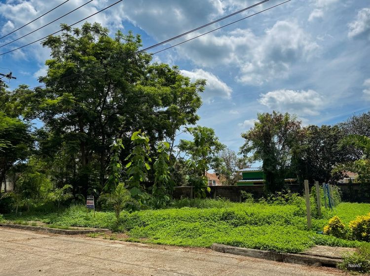 ขายที่ดิน 89 ตร.วา หมู่บ้าน Forest Park คลองสามวา ใกล้ IFB และซาฟารีเวิลด์