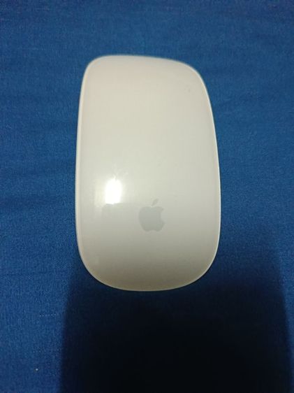 เมาส์ apple