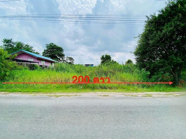 ใช่ ขายครับที่ดินสวย 200 ตรว ซอยวัดลาดปลาดุก นนทบุรี รูปที่ 2