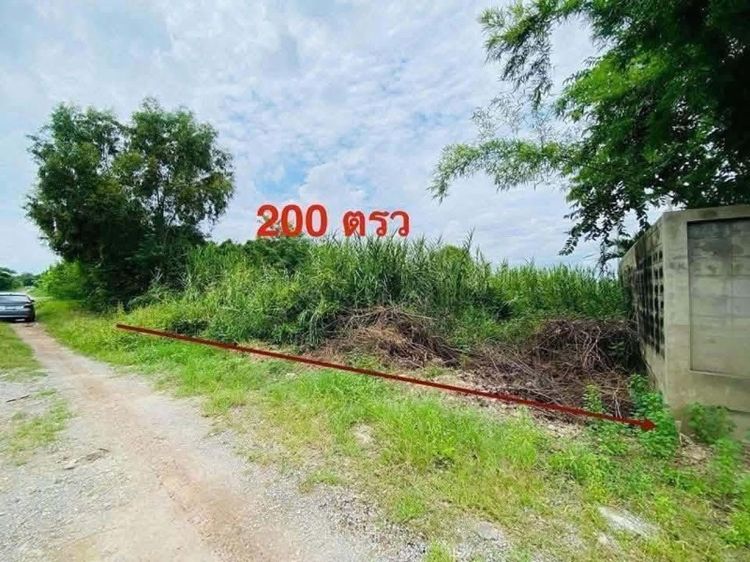 ใช่ ขายครับที่ดินสวย 200 ตรว ซอยวัดลาดปลาดุก นนทบุรี รูปที่ 3