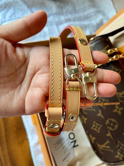 New Lv ivy  รูปที่ 6