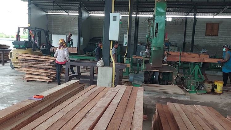 ขายโรงเลื่อยไม้พร้อมกิจการและใบอนุญาต ลำลูกกา ปทุมธานี 2 ไร่ เดินกิจการต่อได้ทันที ราคา 15 ล้านบาท