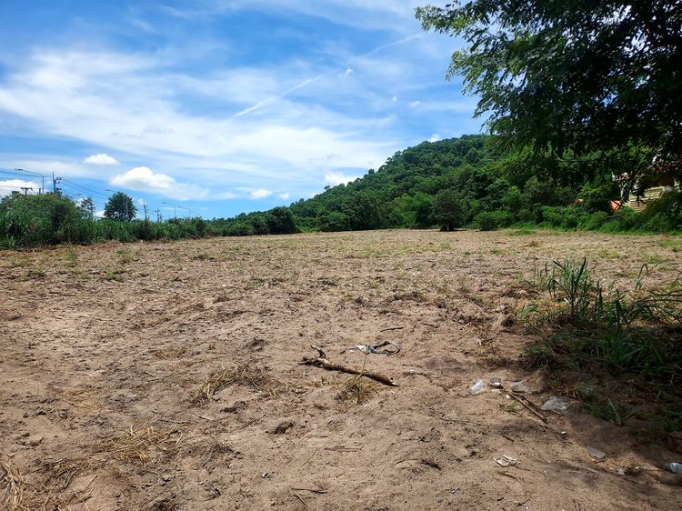 โอกาสลงทุนทำเล ที่ดิน 8 ไร่เศษ ติดถนน 3241 ตรงข้ามทางเข้านิคมฯ WHA Chonburi 2 รูปที่ 4