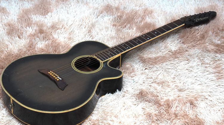 Takamine NPT-108-6