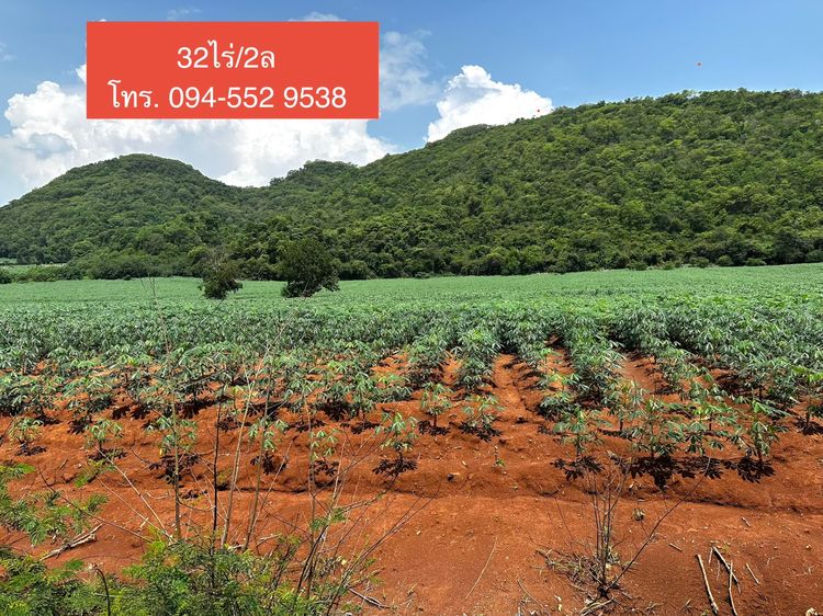 ที่ดินขนงพระ ปากช่อง เขาใหญ่  32ไร่ หน้าติดถนนลูกรัง หลังติดเขา ที่เป็นเนินลาดขึ้น สวยราคาถูก