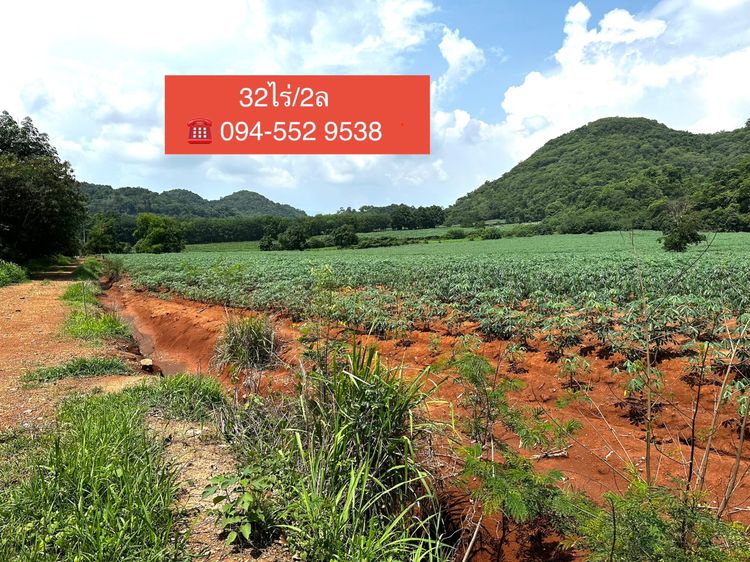 ที่ดินขนงพระ ปากช่อง เขาใหญ่  32ไร่ หน้าติดถนนลูกรัง หลังติดเขา ที่เป็นเนินลาดขึ้น สวยราคาถูก รูปที่ 2