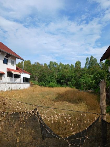 ที่ดินแปลงสวยใกล้ทะเลหลังติดคลองเหมาะสร่างบ้าน