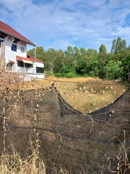 ที่ดินแปลงสวยใกล้ทะเลหลังติดคลองเหมาะสร่างบ้าน รูปที่ 3