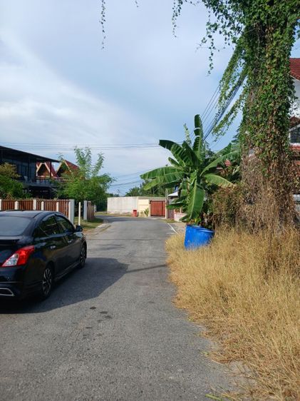 ที่ดินแปลงสวยใกล้ทะเลหลังติดคลองเหมาะสร่างบ้าน รูปที่ 2