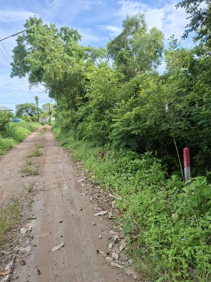 ที่ดินใกล้ถนนสุขุมวิทขายถูกๆ รูปที่ 3