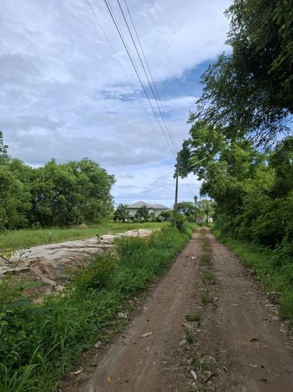 ที่ดินใกล้ถนนสุขุมวิทขายถูกๆ รูปที่ 2