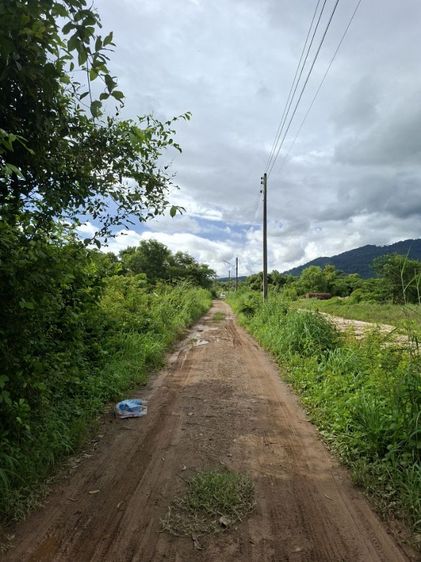 ที่ดินใกล้ถนนสุขุมวิทขายถูกๆ