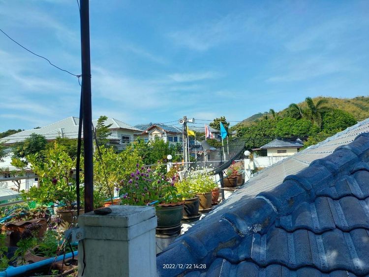 อื่นๆ มีบางส่วน 2011 ขายบ้านเดี่ยวหลังมุม หมู่บ้านพบโชคสัตหีบ พร้อม บ้าน 2 หลัง สไตล์รีสอร์ในพื้นที่ 100 ตรว.  รูปที่ 3