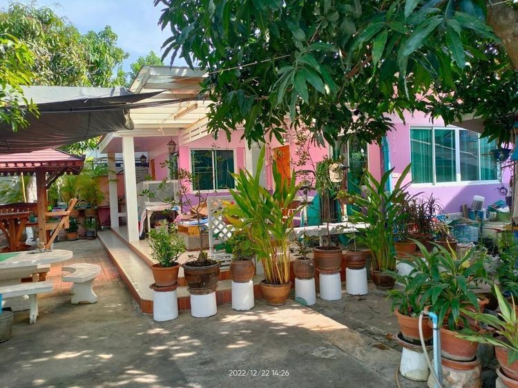 อื่นๆ มีบางส่วน 2011 ขายบ้านเดี่ยวหลังมุม หมู่บ้านพบโชคสัตหีบ พร้อม บ้าน 2 หลัง สไตล์รีสอร์ในพื้นที่ 100 ตรว.  รูปที่ 4