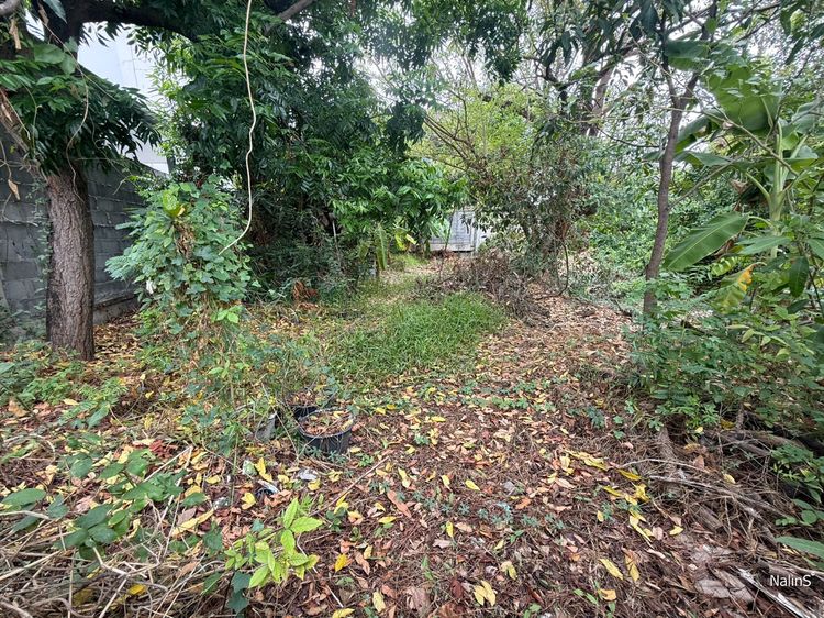 ขายที่ดิน 93 ตร.วา คูคต ลำลูกกา ใกล้ รพ.บีแคร์ เหมาะสร้างบ้านเดี่ยว