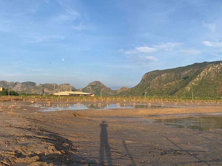 ขายที่ดินวิวเขา ใกล้ทะเล แหล่งท่องเที่ยว  รูปที่ 4