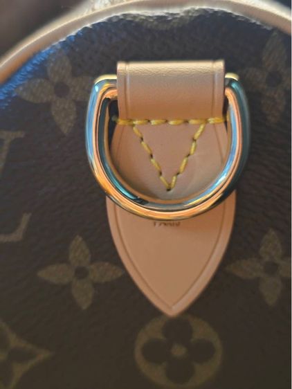 lv speedy 30 เป็นรุ่นลิมิเต็ด ใบนี้ ฝังชิพ รูปที่ 9
