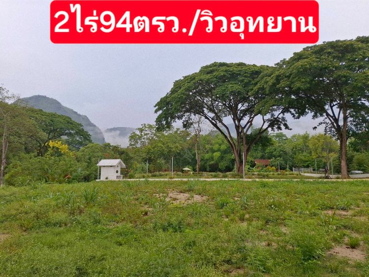 ที่ดินเหวปลากั้ง หมูสี เขาใหญ่  2ไร่ 94ตรว  หลังติดคลองน้ำ  หน้าติดถนนลาดยาง พัฒนาเรียบร้อย