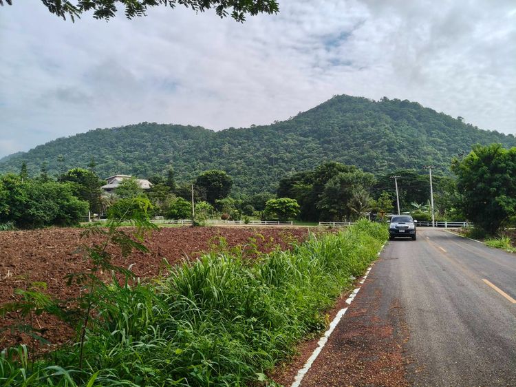 ขายที่หนองน้ำแดง เขาใหญ่ ใกล้ธนะรัชต์ 3 ไร่ ที่ดินวิวเขาสวยล้อมรอบ ใกล้ภูเขา ใกล้มอเตอร์เวย์ M6 แม็คโคร เดินทางสะดวก ใกล้ตัวเมืองปากช่อง ตลา