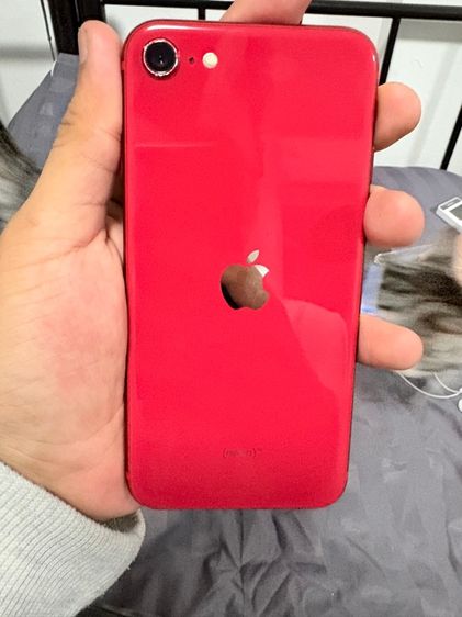 Iphone se 2020 รูปที่ 6
