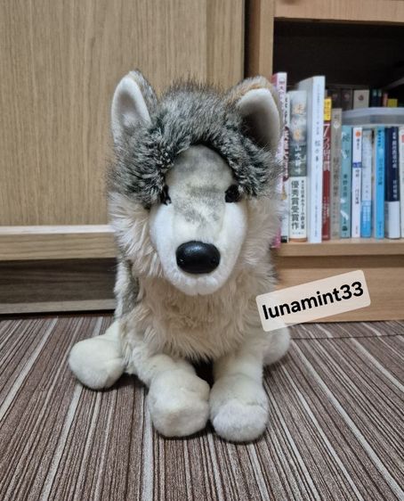 ตุ๊กตาหมาป่าดักลาส Douglas 