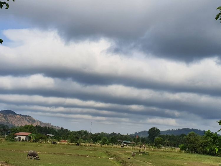 ที่ดินสวยวิวเขาใหญ่ วิวน้ำตก  อากาศดีมาก ต.เขาพระ อ.เมืองนครนายก รูปที่ 4