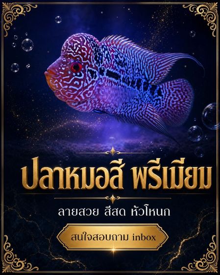 อื่นๆ Flowerhorn cichlid ปลาหมอสี