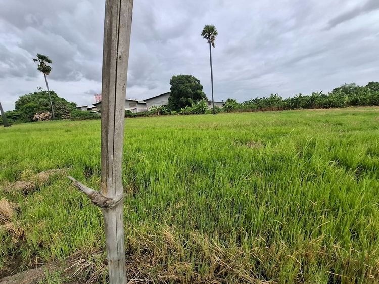 ​ขายที่ดินแปลงใหญ่สามโคก ปทุมธานี 20 ไร่เศษ ผังเมืองสีชมพู เหมาะทำโกดัง คลังสินค้า โครงการจัดสรร ติดคลอง รูปที่ 4