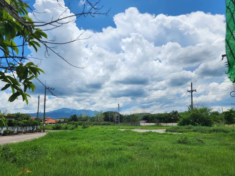 ที่ดิน อ.แม่ริม จ.เชียงใหม่