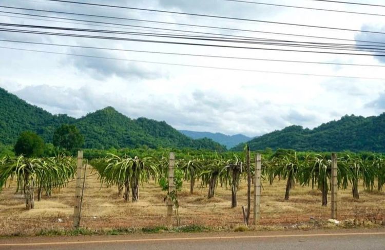 ขายที่ดินหนองน้ำแดง เขาใหญ่ เขาวง 10 ไร่ ติดถนนเส้นหลัก ใกล้มอเตอร์เวย์ M6 ที่สวย วิวเขาสวยชัดมาก ใกล้ถนนธนะรัชต์ ศูนย์ผู้นำ CP ที่สวย วิวเข