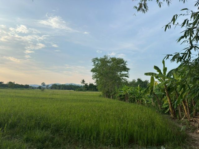 ขายที่ดินเชียงใหม่ติดถนนติดแม่น้ำ