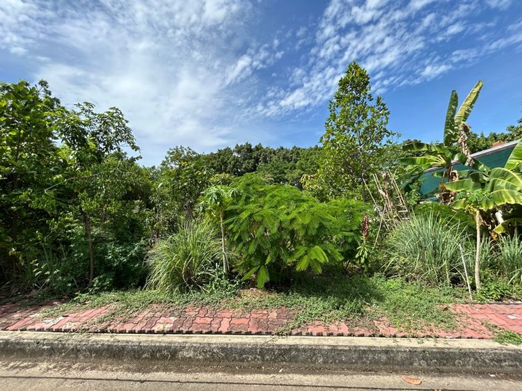 ที่ดินโครงการ Land and House  รูปที่ 3