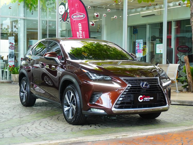 Lexus Nx300h 2020 2.5 Premium Utility-car ไฮบริด ไม่ติดแก๊ส เกียร์อัตโนมัติ น้ำตาล รูปที่ 3
