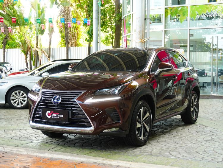 รถ Lexus Nx300h 2.5 Grand Luxury สี น้ำตาล